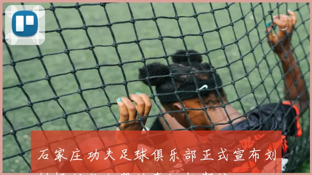 石家庄功夫足球俱乐部正式宣布刘柏杨租借加盟的喜讯与期待