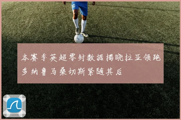 本赛季英超零封数据揭晓拉亚领跑多纳鲁马桑切斯紧随其后