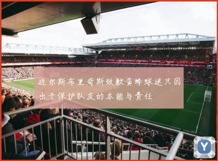 迈尔斯布里奇斯致歉黄蜂球迷只因出于保护队友的本能与责任