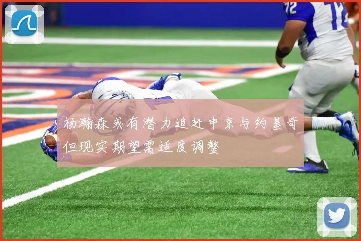杨瀚森或有潜力追赶申京与约基奇但现实期望需适度调整